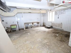 Prodej komerční nemovitosti, Karlovy Vary - Rybáře, Sokolovská, 600 m2