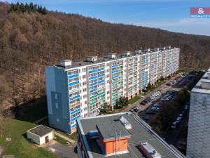 Prodej bytu 4+1, Litvínov - Janov, Luční, 78 m2