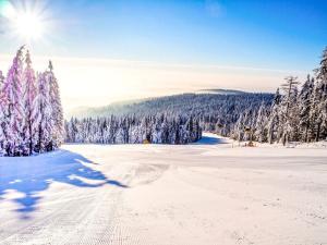 Prodej atypického bytu, Červená Voda - Mlýnický Dvůr, 312 m2