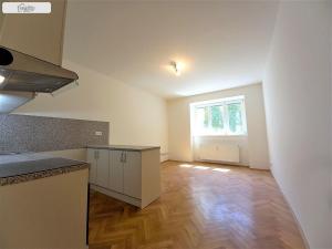 Pronájem bytu 2+kk, Praha - Vinohrady, Vinohradská, 48 m2