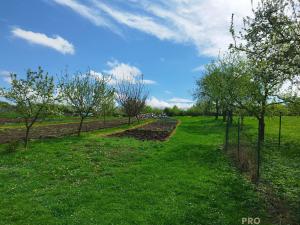 Prodej rodinného domu, Kostelec u Holešova, 168 m2