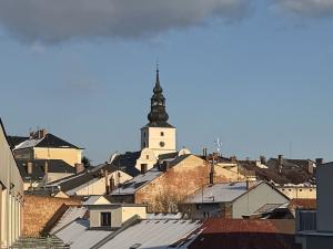 Pronájem bytu 3+kk, Lanškroun - Ostrovské Předměstí, T. G. Masaryka, 111 m2