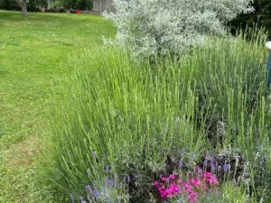 Prodej ubytování, Černolice, Pod Hůrkou, 420 m2