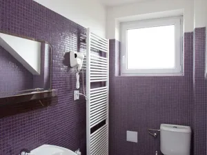 Prodej ubytování, Černolice, Pod Hůrkou, 420 m2