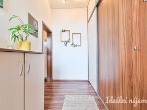 Pronájem bytu 2+kk, Brno - Zábrdovice, Stará, 60 m2