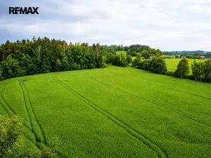 Prodej pozemku pro bydlení, Čejov - Hadina, 190028 m2