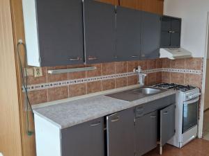 Pronájem bytu 2+1, Děčín - Děčín VI-Letná, 70 m2