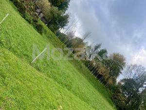 Prodej pozemku pro bydlení, Dolní Dobrouč, 1768 m2