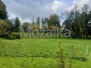 Prodej pozemku pro bydlení, Dolní Dobrouč, 1768 m2