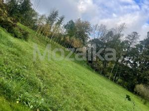 Prodej pozemku pro bydlení, Dolní Dobrouč, 1768 m2