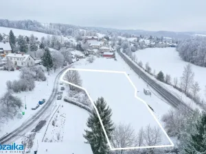 Prodej komerčního pozemku, Dolní Dobrouč - Lanšperk, 3757 m2