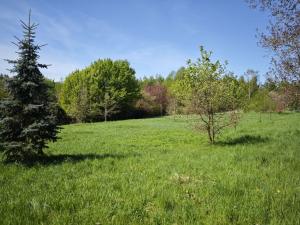 Prodej pozemku pro bydlení, Velké Popovice, 2518 m2