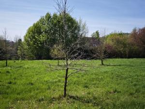 Prodej pozemku pro bydlení, Velké Popovice, 2518 m2