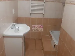 Pronájem bytu 1+1, Ostrava, U Nové šachty, 35 m2