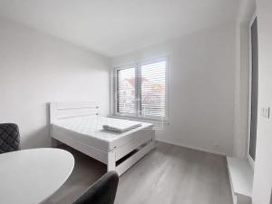 Pronájem bytu 1+kk, Praha - Strašnice, Na palouku, 29 m2