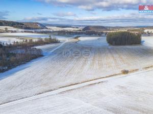 Prodej louky, Lešetice, 10193 m2