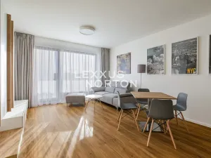 Pronájem bytu 2+kk, Praha - Karlín, Nekvasilova, 60 m2