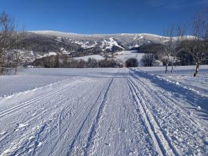 Prodej bytu 3+kk, Rokytnice nad Jizerou - Horní Rokytnice, 65 m2