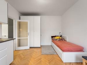 Pronájem bytu 1+kk, Brno, Obilní trh, 21 m2