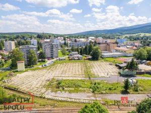 Prodej pozemku pro bydlení, Nové Město pod Smrkem, Smetanova, 8920 m2