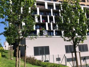 Pronájem bytu 2+kk, Praha - Hloubětín, Lehovecká, 55 m2