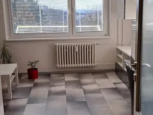 Pronájem bytu 1+kk, Brno, Čejkovická, 33 m2