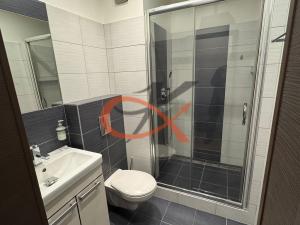 Pronájem bytu 1+kk, Rožnov pod Radhoštěm, Meziříčská, 26 m2