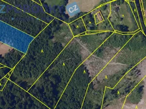 Prodej lesa, Vysočina, 26720 m2