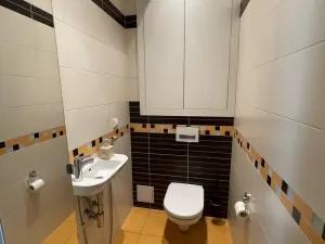 Pronájem bytu 3+kk, České Budějovice - České Budějovice 6, Roháče z Dubé, 77 m2