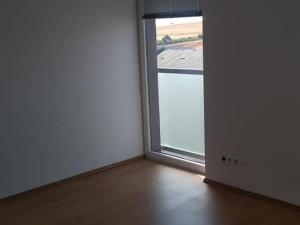 Pronájem bytu 2+kk, Plzeň, U Velkého rybníka, 50 m2