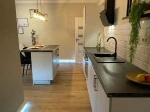 Prodej ubytování, Praha - Vinohrady, Radhošťská, 45 m2