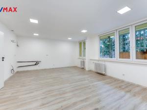 Pronájem bytu 4+kk, Praha - Kobylisy, Pohnertova, 86 m2