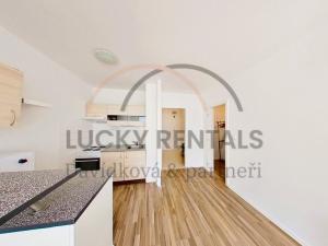 Pronájem bytu 1+kk, Praha - Hloubětín, Rochovská, 29 m2