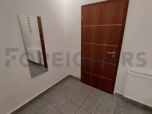 Pronájem bytu 2+kk, Olomouc, Palackého, 75 m2