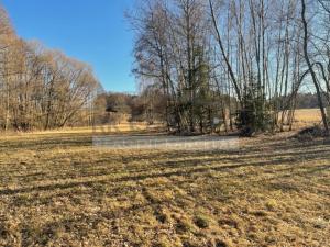 Prodej pozemku pro bydlení, Horní Stropnice - Svébohy, 3293 m2