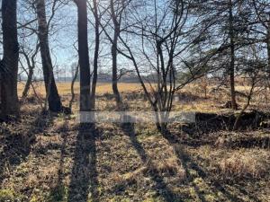 Prodej pozemku pro bydlení, Horní Stropnice - Svébohy, 3293 m2