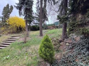 Prodej ubytování, Praha - Libeň, V Holešovičkách, 670 m2