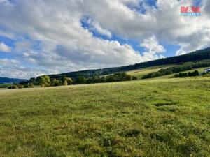 Prodej pozemku pro bydlení, Králíky - Dolní Boříkovice, 43959 m2