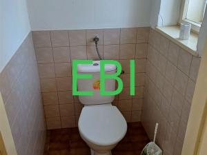 Prodej rodinného domu, Rokytnice nad Jizerou - Horní Rokytnice, Horní Rokytnice, 290 m2