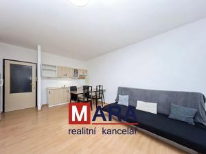 Pronájem bytu 1+kk, Nový Jičín, Na Lani, 30 m2