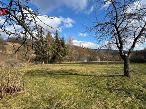 Prodej pozemku pro bydlení, Oskava - Třemešek, 1922 m2