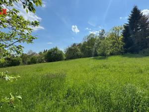 Prodej pozemku pro bydlení, Oskava - Třemešek, 1922 m2