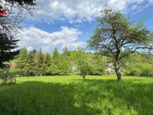 Prodej pozemku pro bydlení, Oskava - Třemešek, 1922 m2