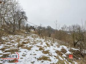 Prodej zahrady, Háje nad Jizerou, Háje nad Jizerou, 1515 m2