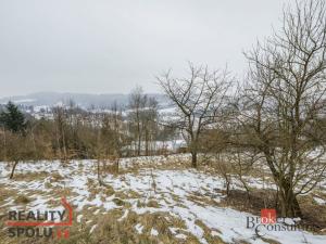 Prodej zahrady, Háje nad Jizerou, Háje nad Jizerou, 1515 m2