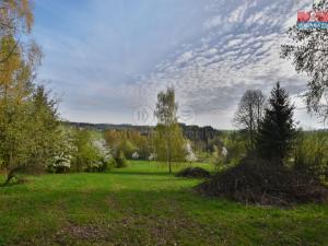Prodej pozemku pro bydlení, Brzice - Proruby, 2428 m2