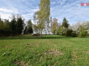 Prodej pozemku pro bydlení, Brzice - Proruby, 2428 m2