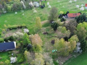 Prodej pozemku pro bydlení, Brzice - Proruby, 2428 m2
