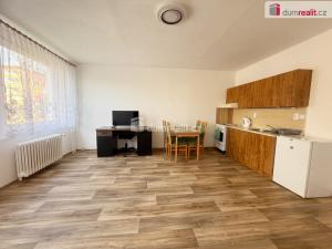 Pronájem bytu 1+kk, Ústí nad Labem - Krásné Březno, Neštěmická, 32 m2