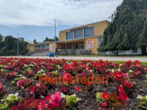 Pronájem obchodního prostoru, Karviná - Nové Město, Čapkova, 36 m2